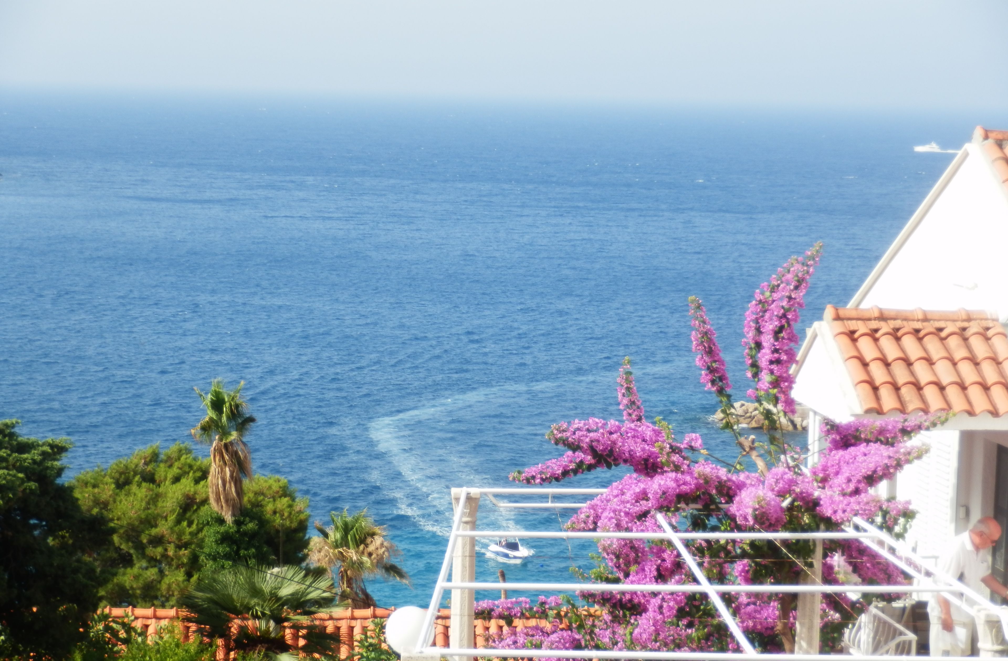 Une vue sur la côte avec un balcon agrémenté de fleurs violettes et d’une balustrade blanche.