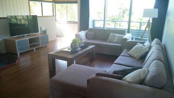 Flat-screen TV, DVD player, table tennis, books