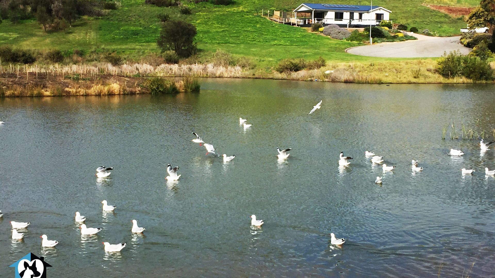 Lake & Reserve Front Bird Haven - 3BR — image 25