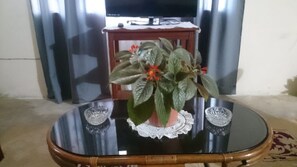 Interior - "Casa la Esperanza" great location close from the heart of Merida (merida)