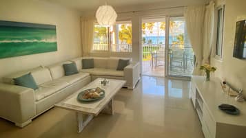 Télévision à écran plat, lecteur de DVD, livres