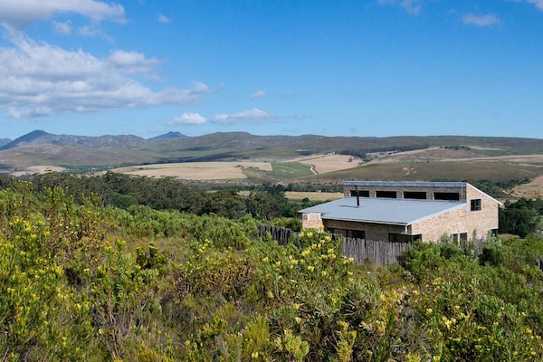 Oxalis Cottage amongst the fynbos