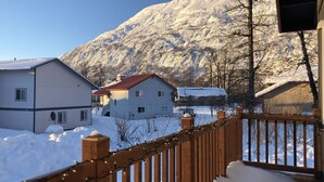 Uklassifisert bilde, 5 av 42, knapp