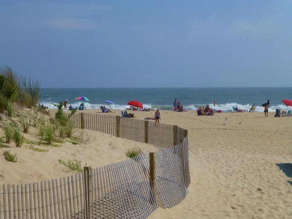 On the beach, sun loungers