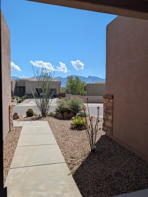 Property grounds - Casa Bella-Luxury home on corner lot, bring your fur baby. (Oro Valley)