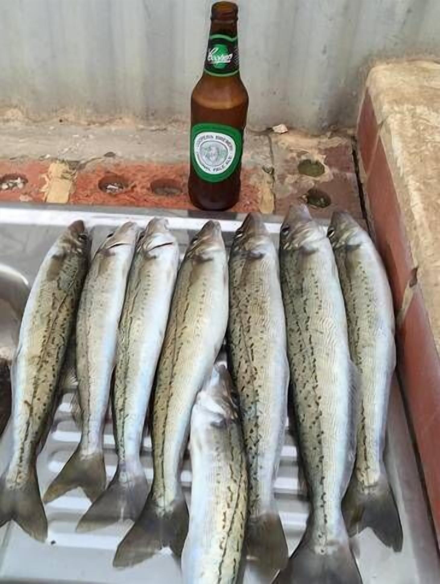 Deckadence Seafront-amazing water views- open for holidays — image 6