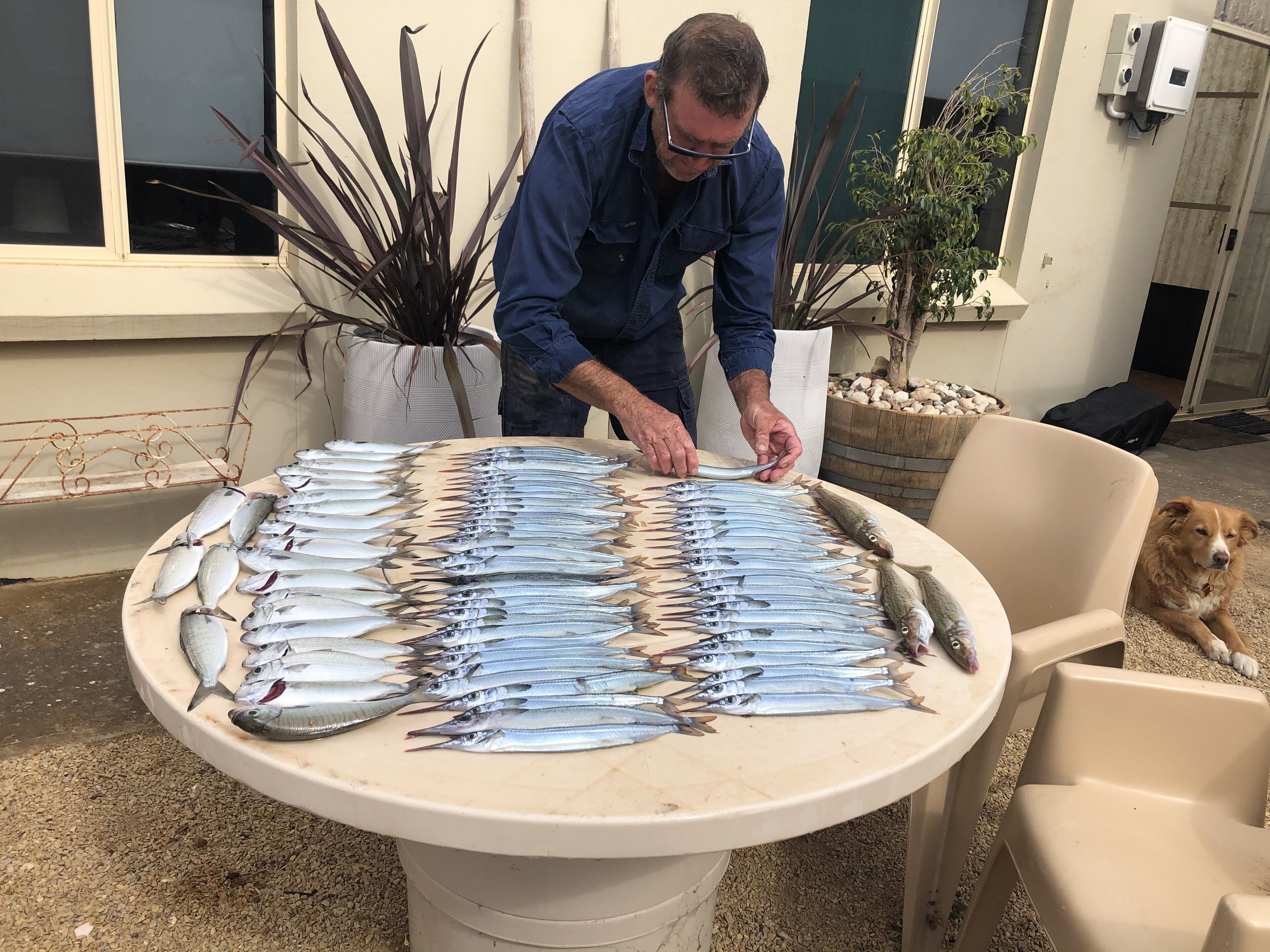 Deckadence Seafront-amazing water views- open for holidays — image 21