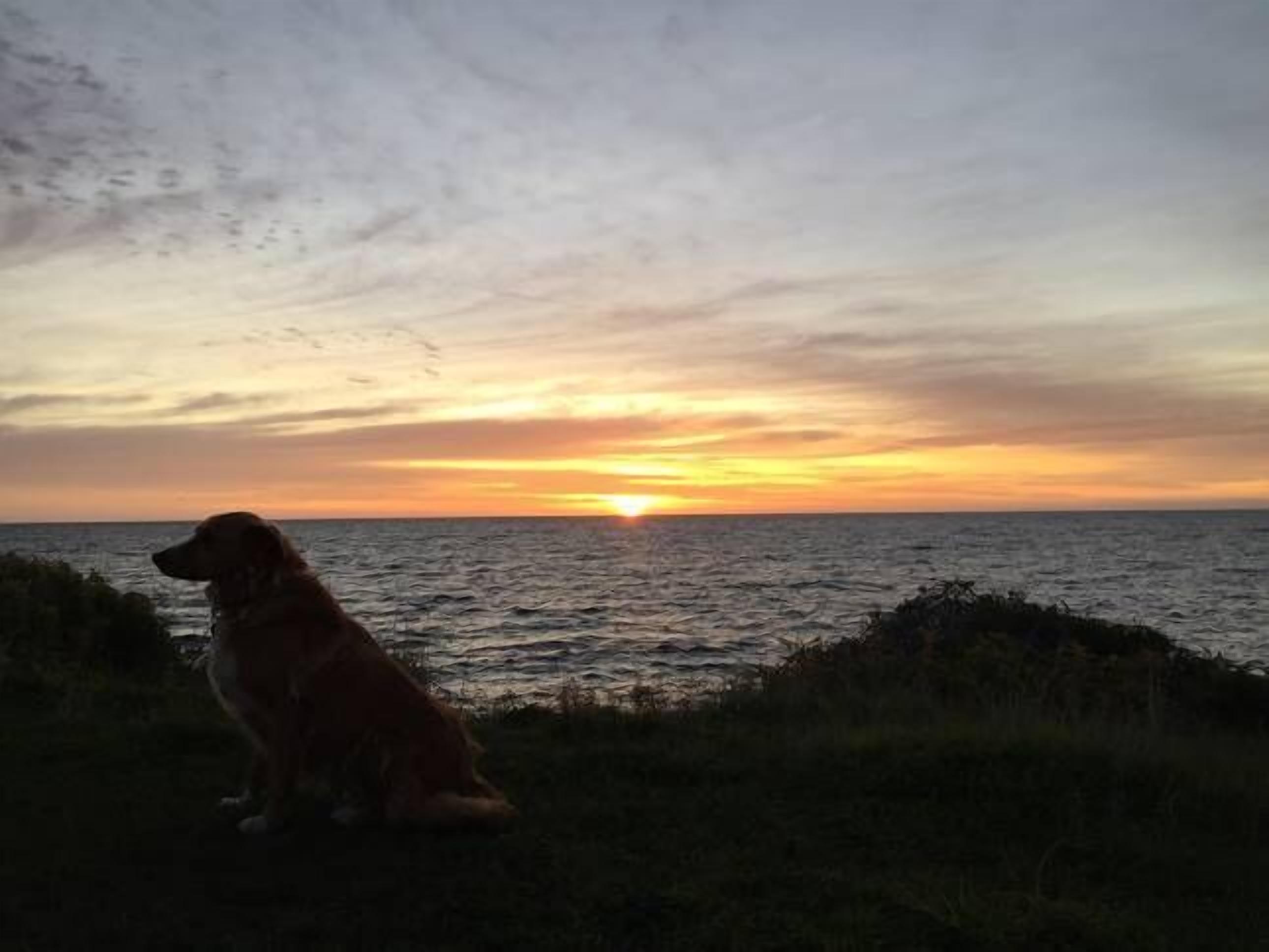 Deckadence Seafront-amazing water views- open for holidays — image 24