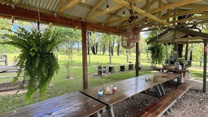 A covered picnic area with wooden benches and tables, a hanging light fixture, and a view of the surrounding greenery. - Mogendoura Farm 3 COTTAGES MAX 12 ADULTS but 18 people including children (Moruya)