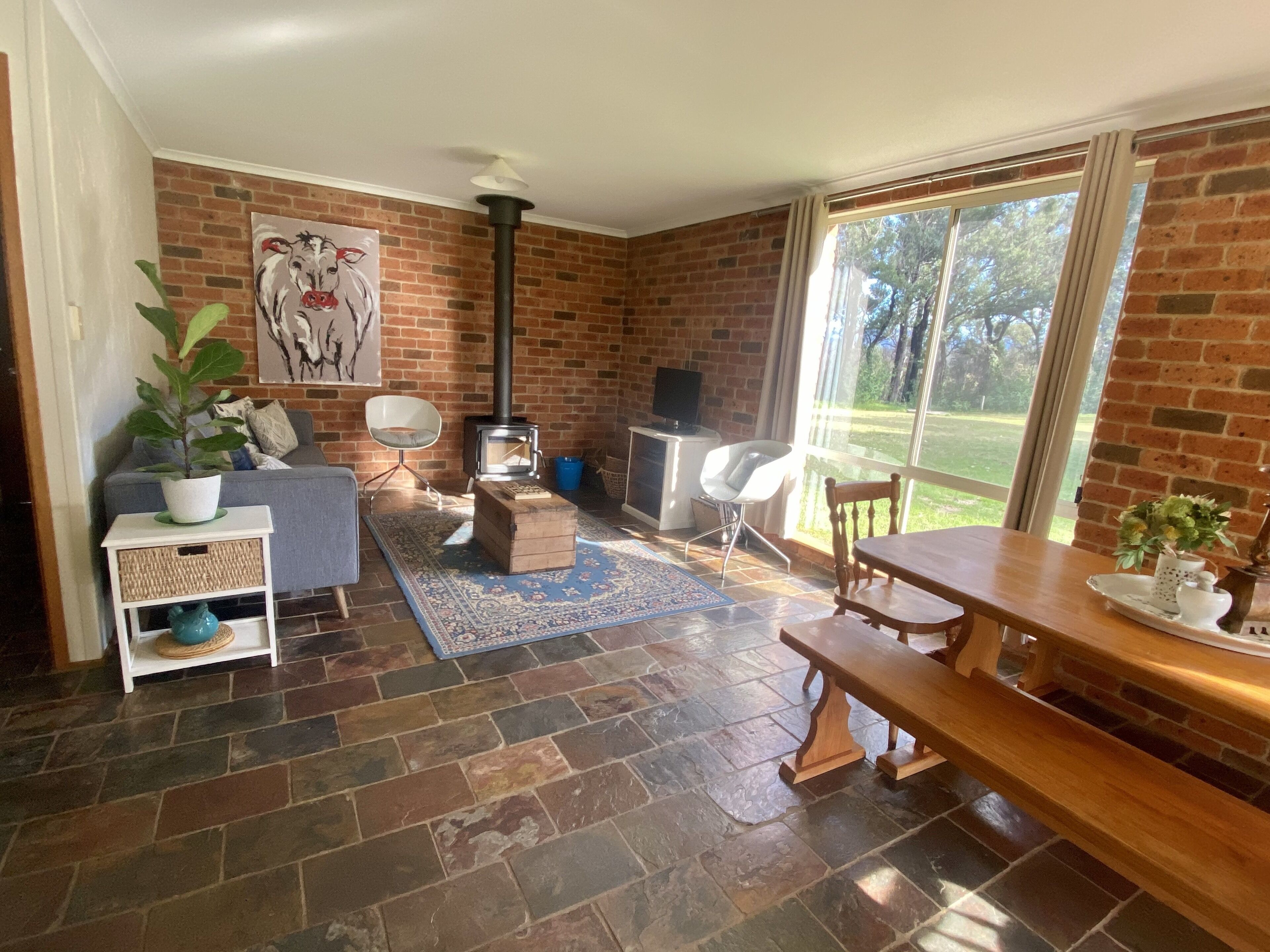 TV, fireplace, DVD player, books