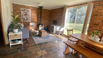 TV, fireplace, DVD player, books