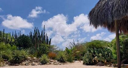 Casa Alto Vista with private tropical garden and pool