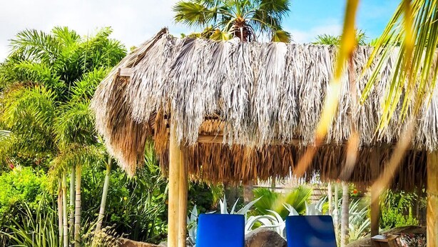 Zona de piscina con una estructura de techo de paja, dos sillones azules y una piscina azul cristalina.