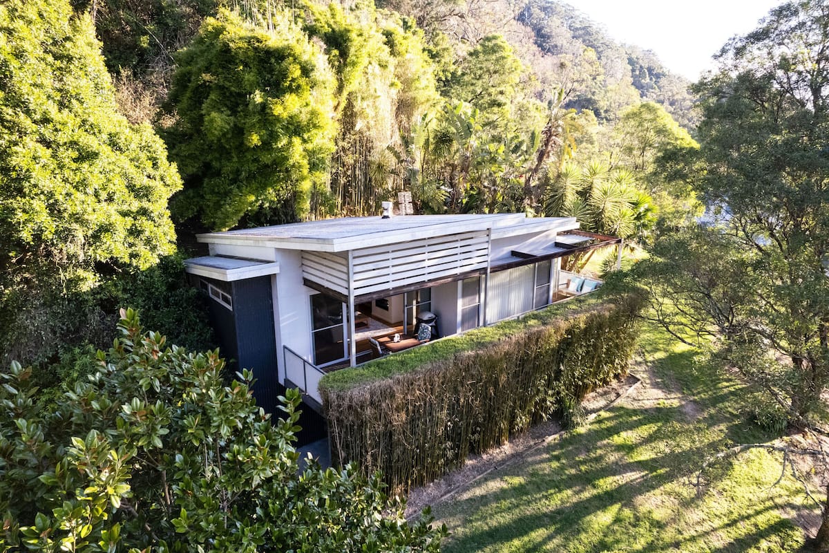 A modern house with a flat roof, large windows, and a view of a lush forest.