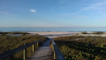 Sun loungers, beach towels
