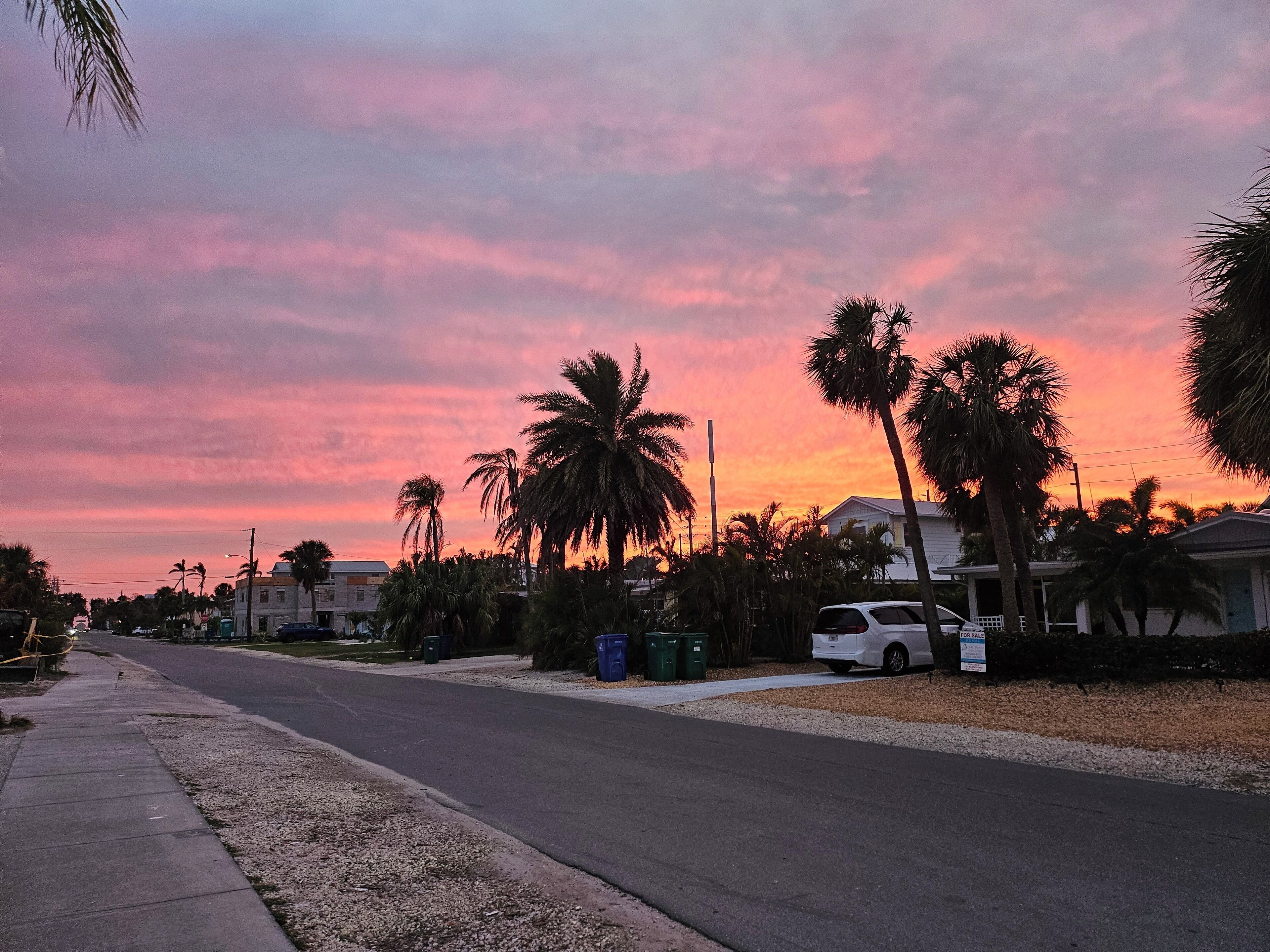 A residential street with houses, palm trees, and a sunset sky.