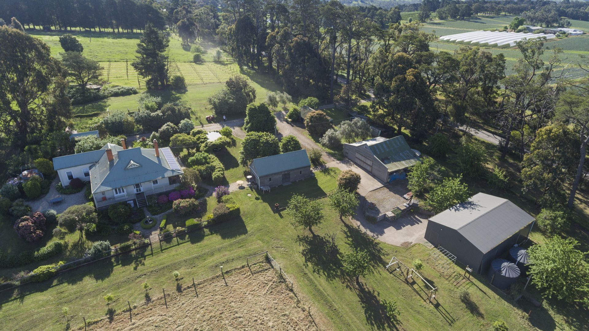 Yarra Valley Strawberry Farms — image 17