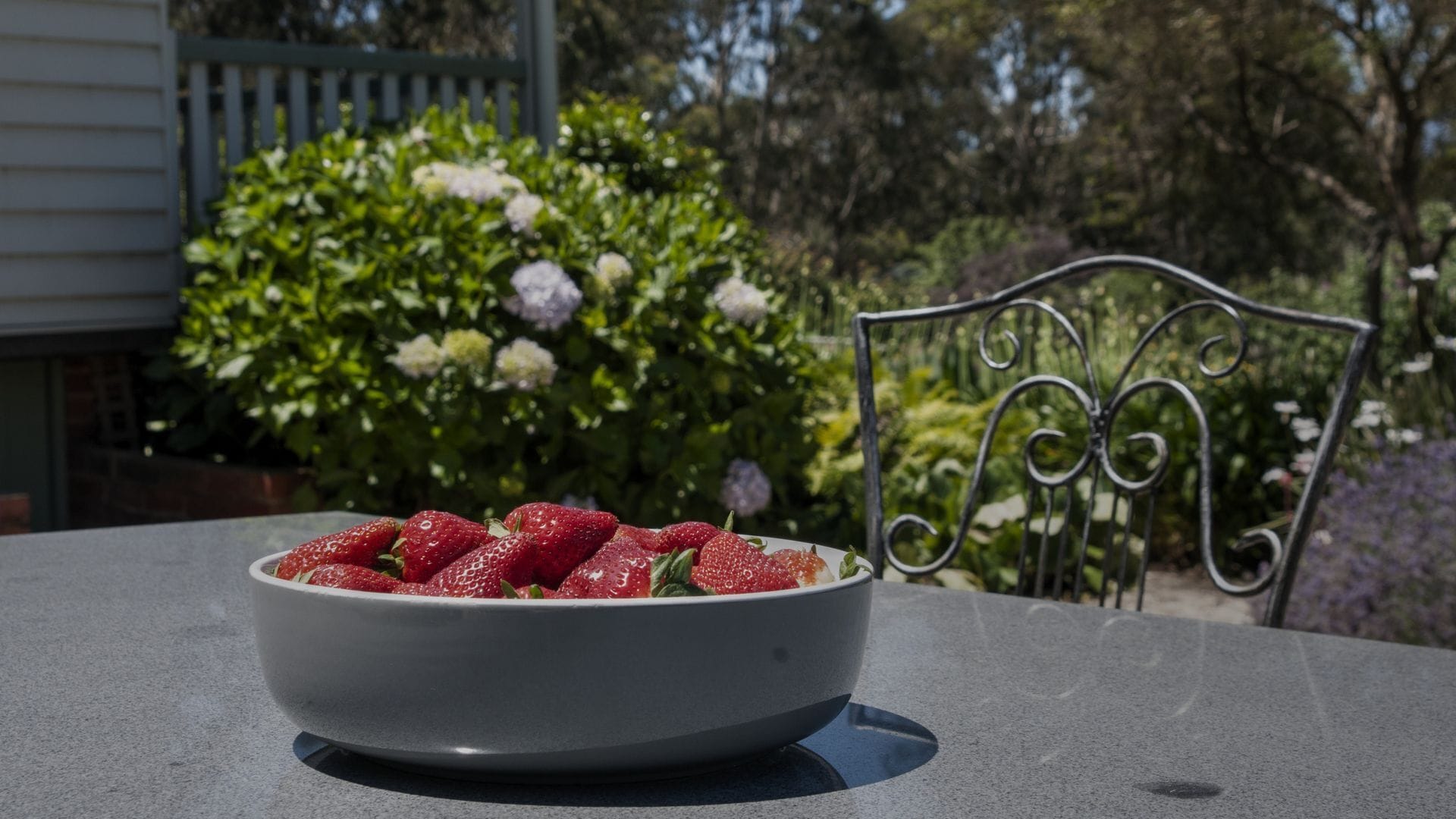 Yarra Valley Strawberry Farms — image 16