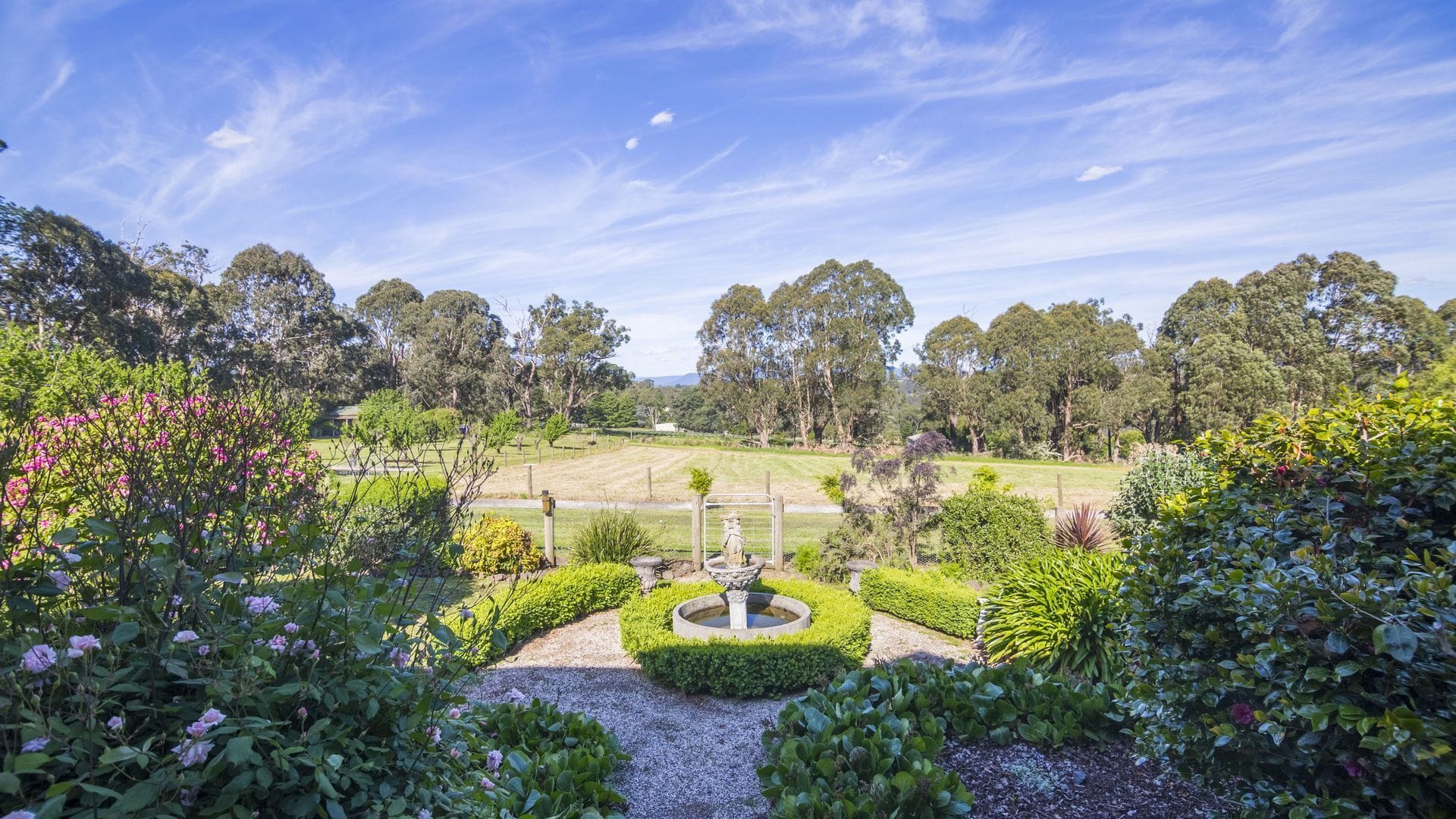 Yarra Valley Strawberry Farms — image 18