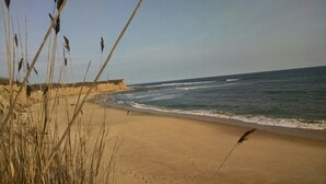 Una playa con orilla arenosa, olas y hierbas altas en primer plano.