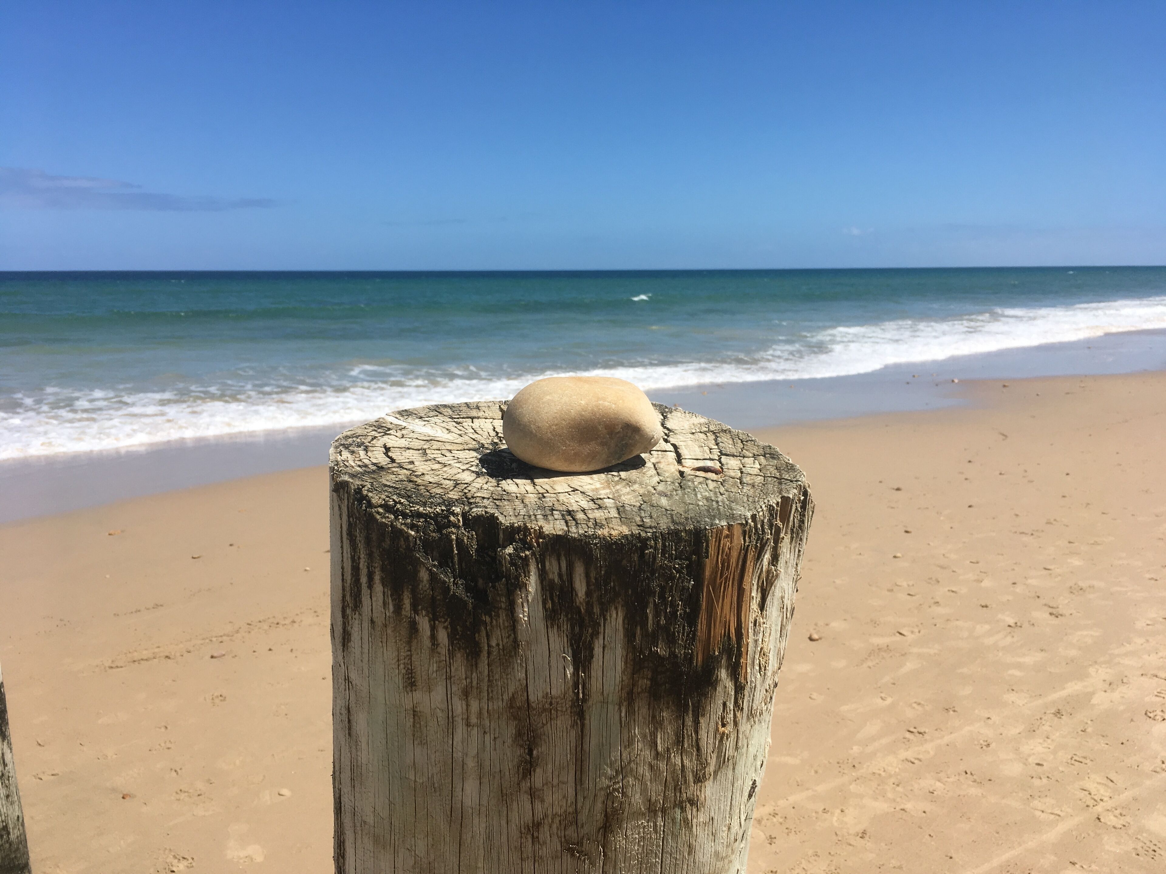 Moana Beach Apartment  - The Esplanade — image 29