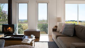 TV, fireplace, Netflix, DVD player