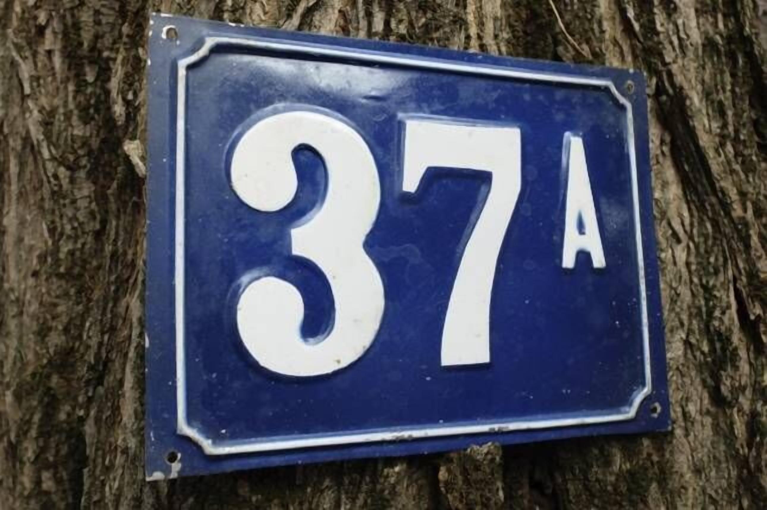 37A Parkside Garden Studio — image 5