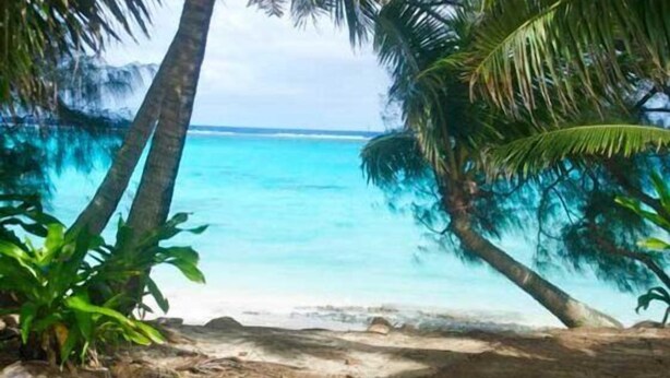 A beach scene with palm trees and turquoise water. - Paere House, Snorkeling Heaven (Tikioki Beach)