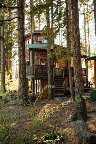 Tree House Tranquil-A-Tree Romantic Escape