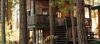 Romanttinen Wilderness Tree House