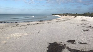 Una playa con cielos despejados y algunas nubes dispersas.
