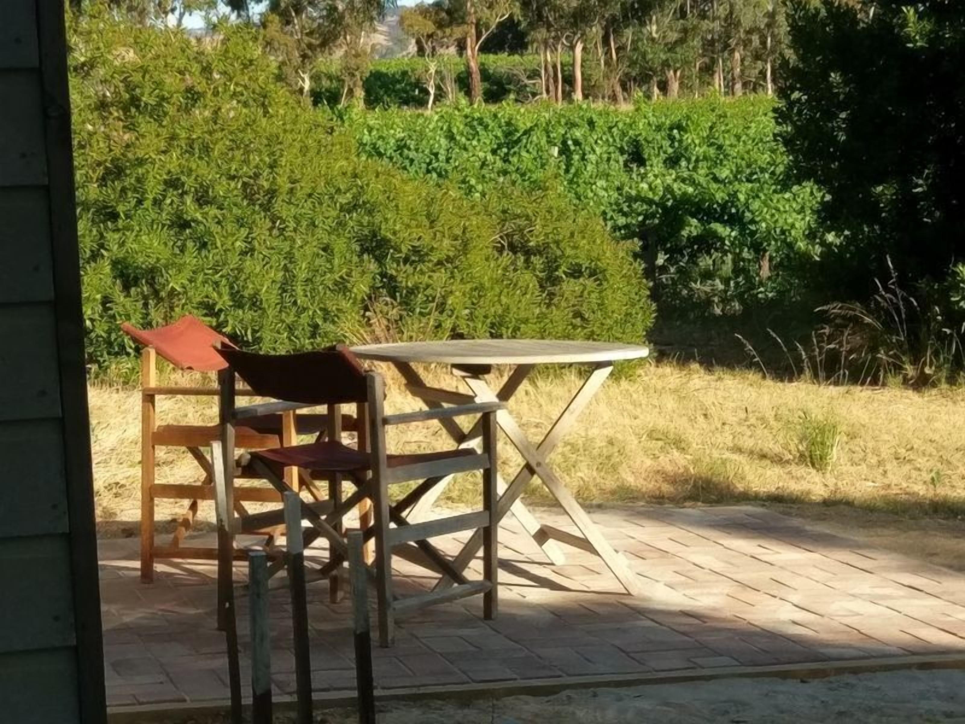 Lost in the Vines. Vineyard Escape. — image 20