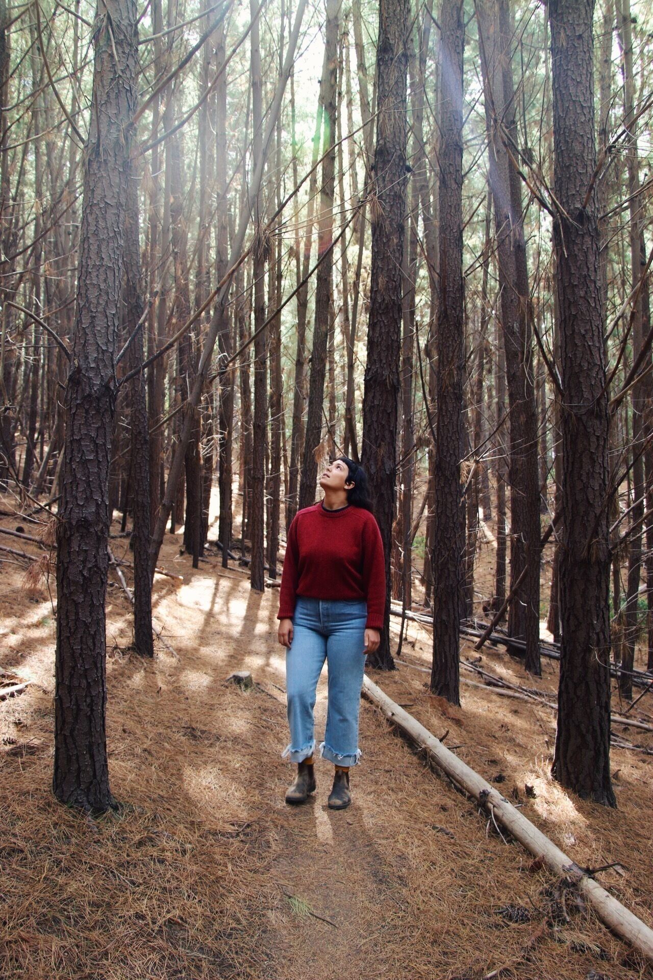 Lost in the Vines. Vineyard Escape. — image 23