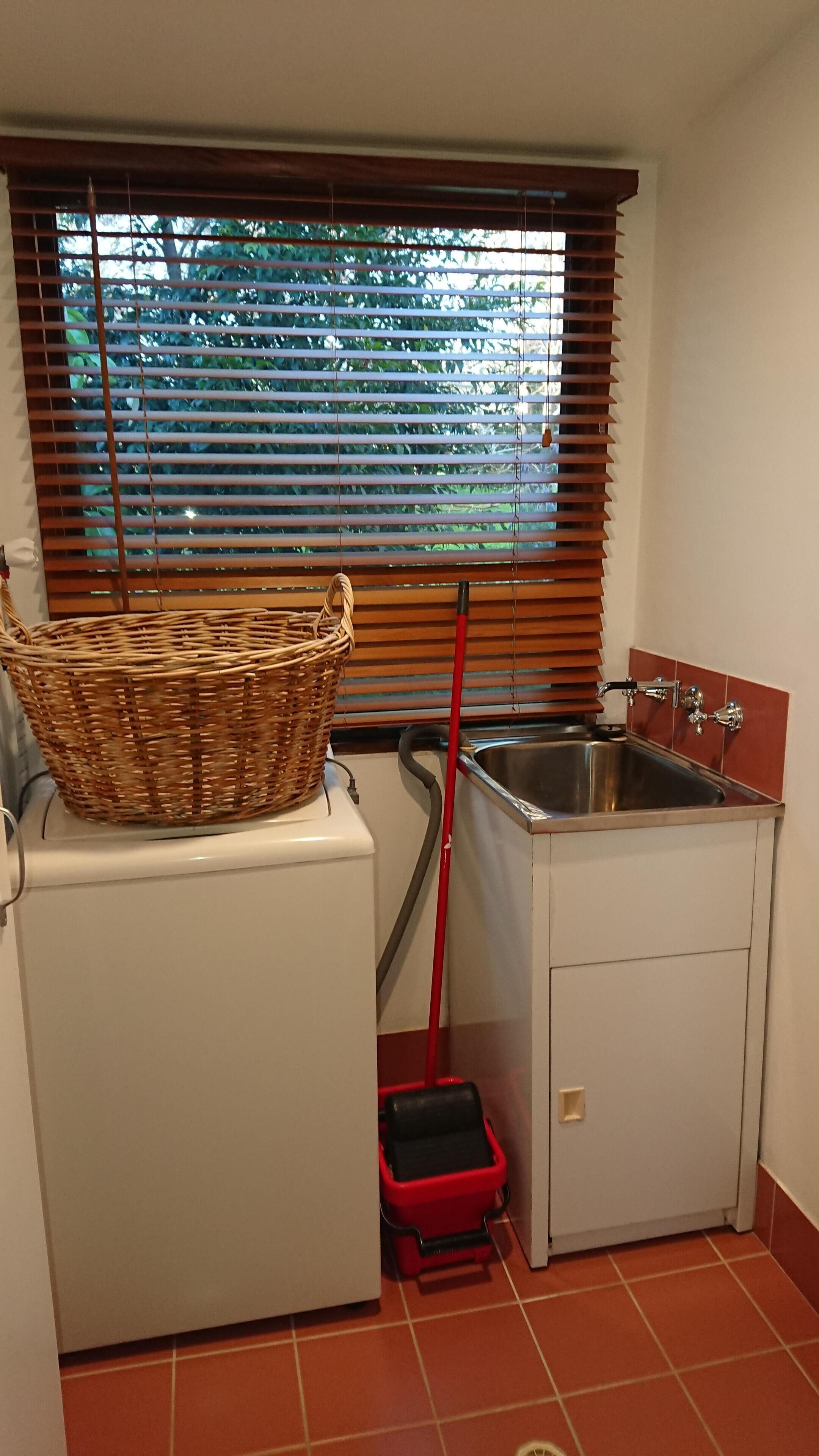 Lost in the Vines. Vineyard Escape. — image 30