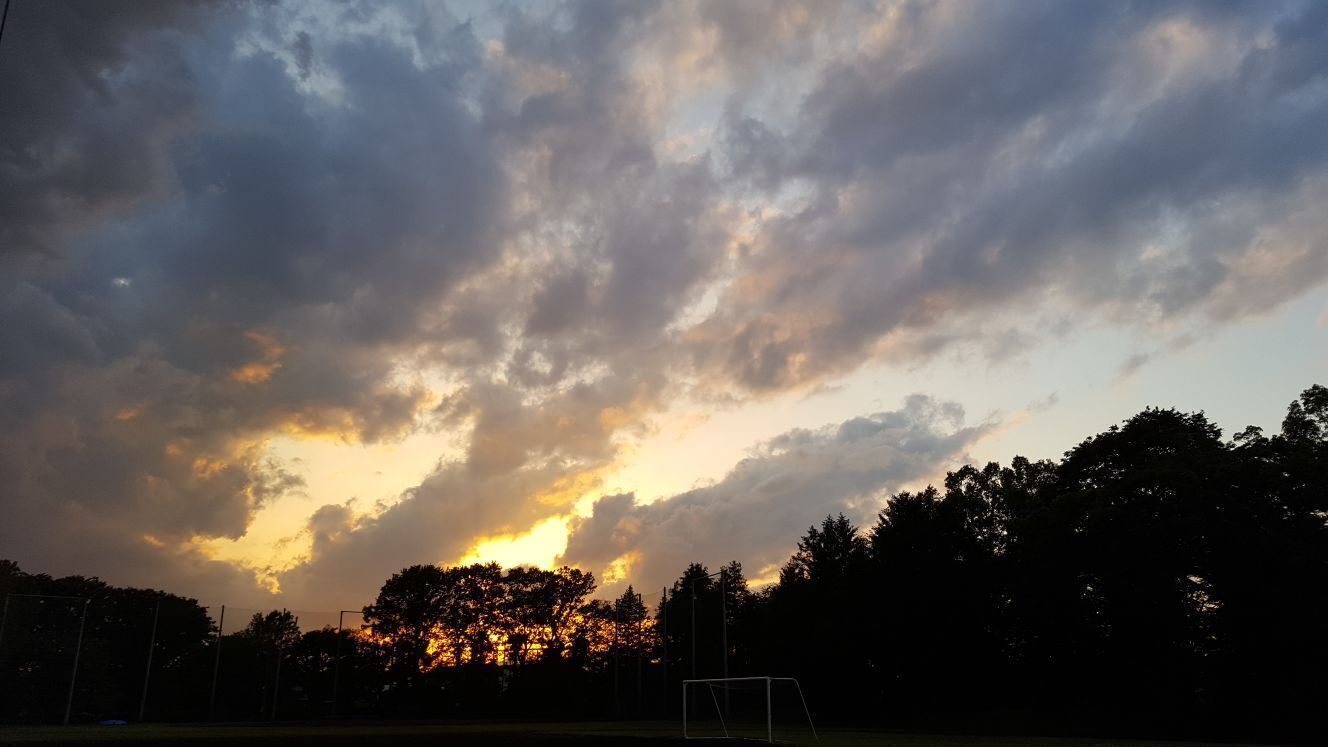 Lost in the Vines. Vineyard Escape. — image 7