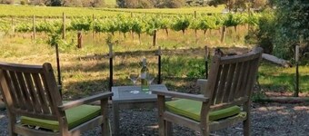 失われたブドウの木。 ブドウ園のエスケープ。