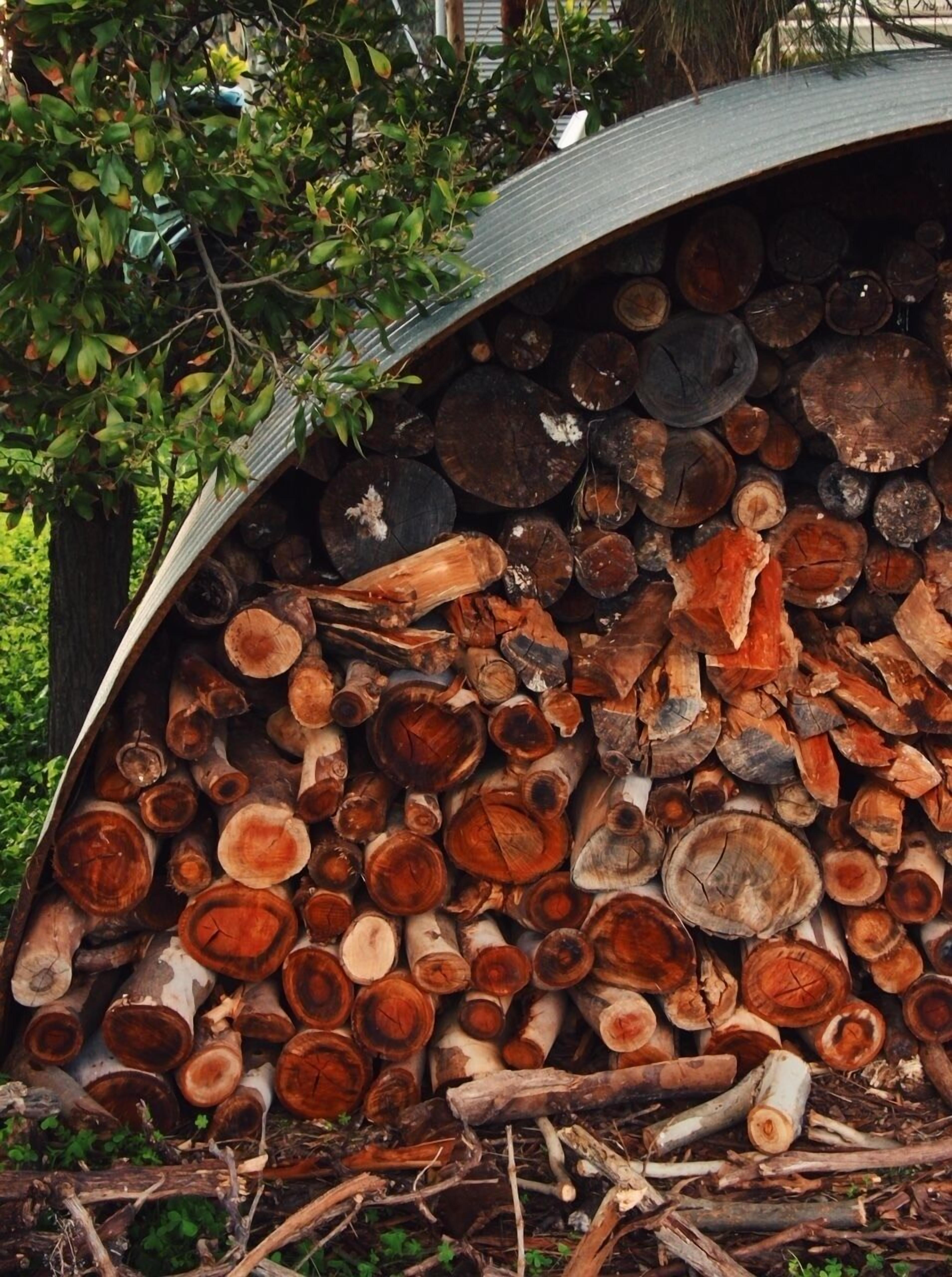 Lost in the Vines. Vineyard Escape. — image 29