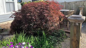 Ein Garten mit einer roten Hecke, einem Holzzaun und einem Vogelbad aus Stein.