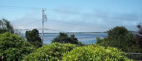 A coastal landscape with lush greenery, a clear sky, and a body of water in the distance.