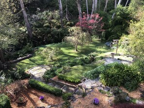 Property grounds - Bluebell Cottage set amongst the trees which attract many native birds. (Leura)