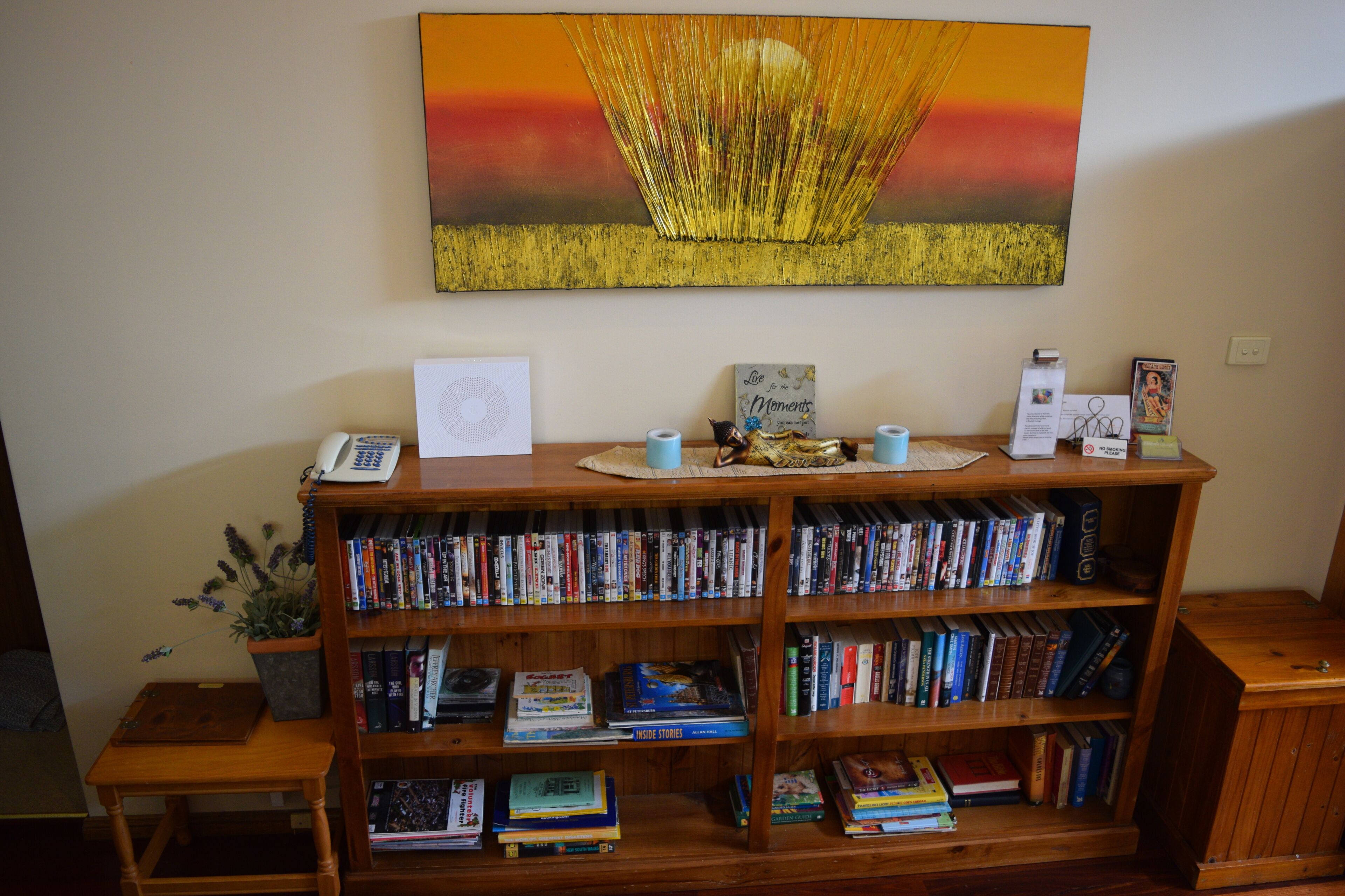 A bookshelf filled with books and DVDs, a framed picture on the wall, and a small potted plant.