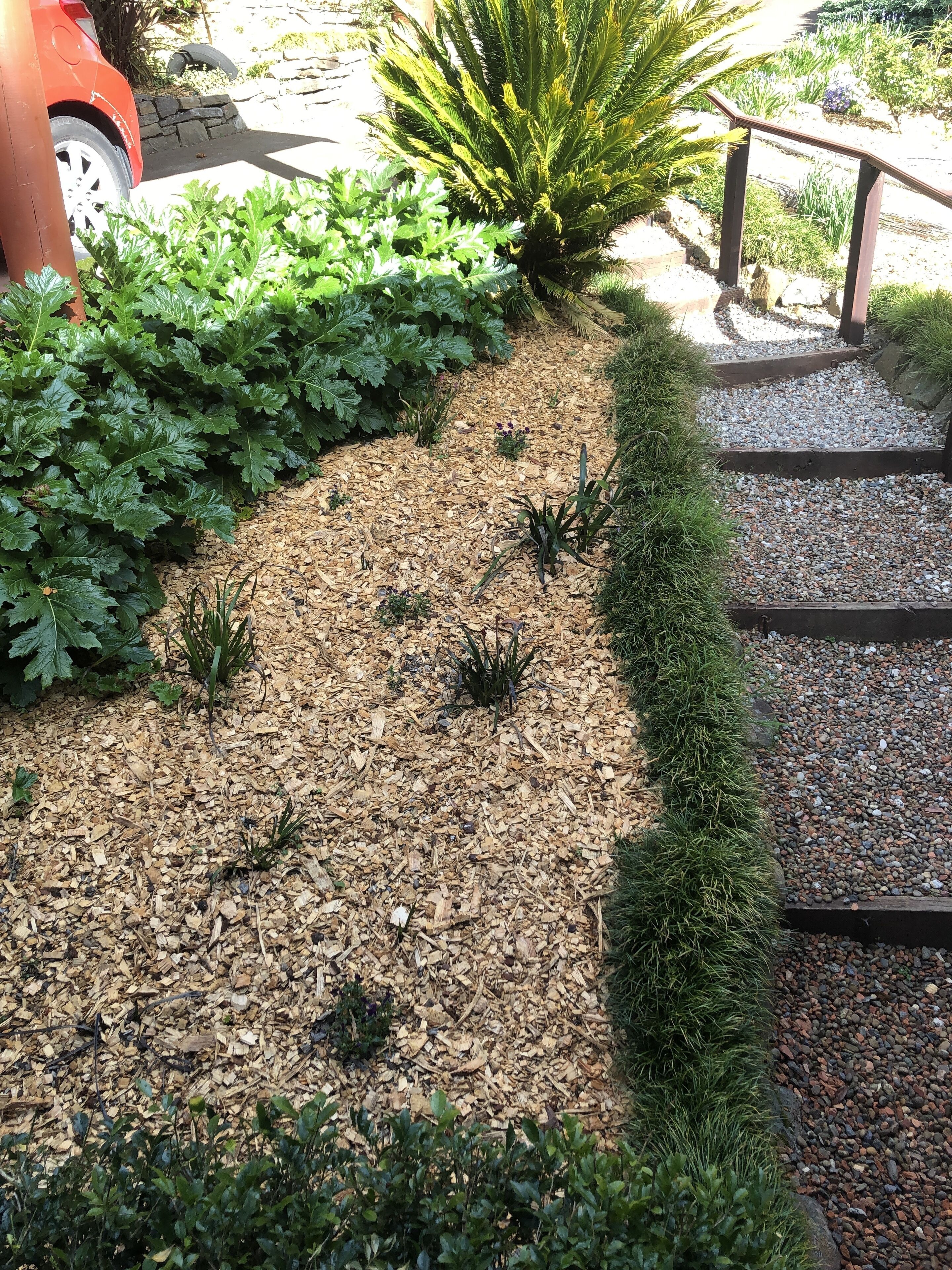 Un jardín con mantillo, plantas y un sendero de madera.