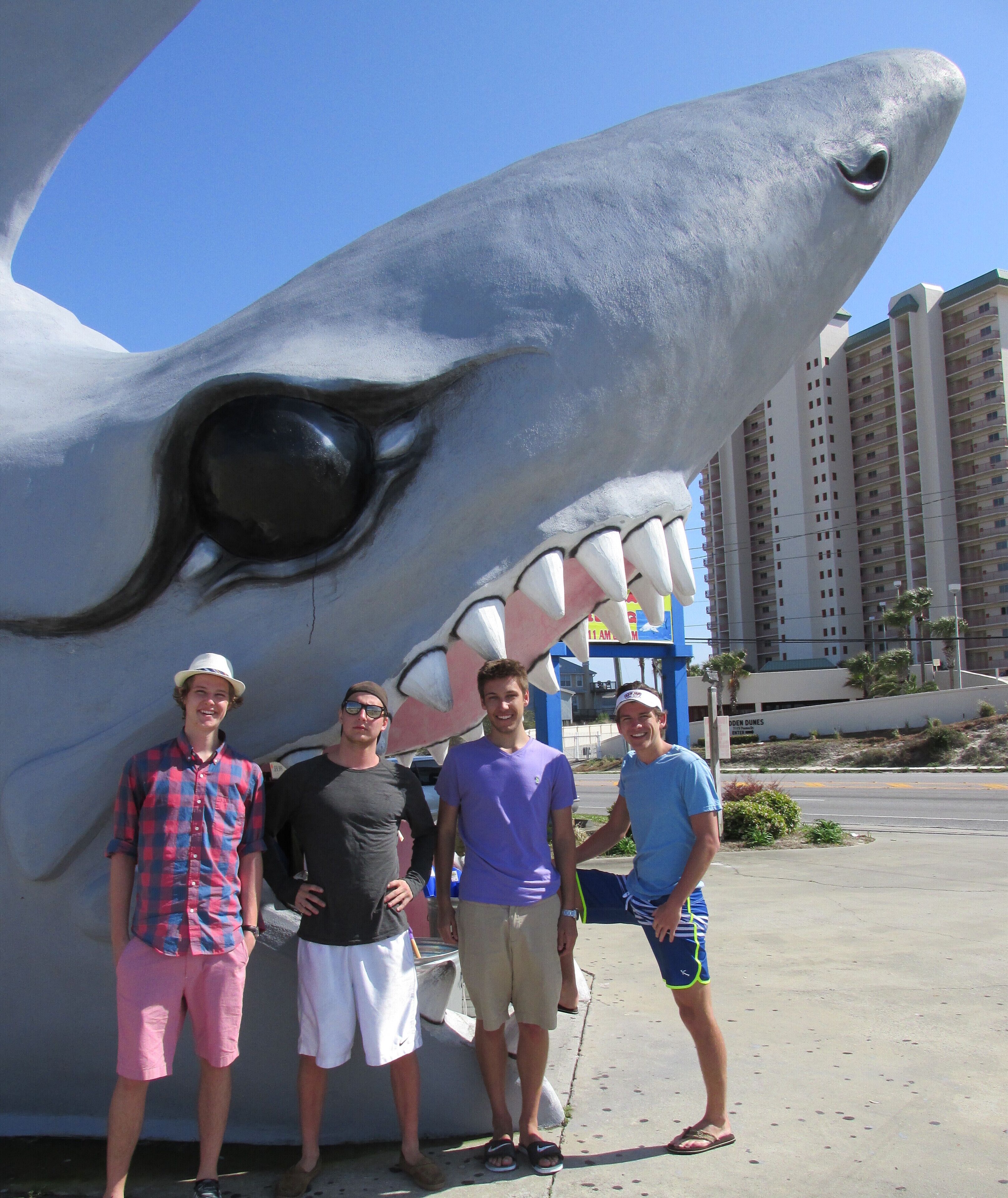 A large shark sculpture with a prominent eye and teeth, standing in an urban area with tall buildings in the background.