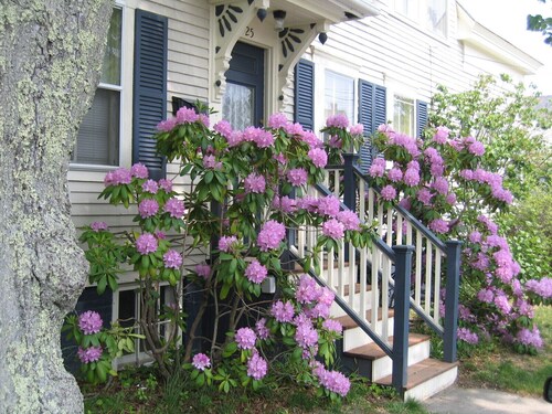 Charmant, Privat, aktualisiert 1600SF 1860 West End Provincetown Haus und Garten