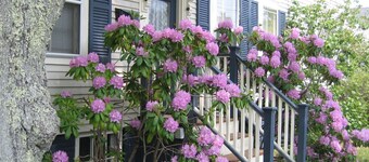 Charming, Private, 1600SF 1860s West End Provincetown House and Garden