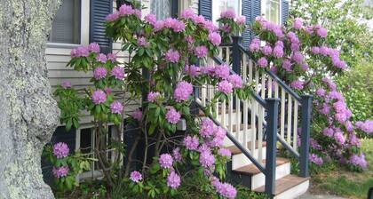 Charmant, Privat, aktualisiert 1600SF 1860 West End Provincetown Haus und Garten