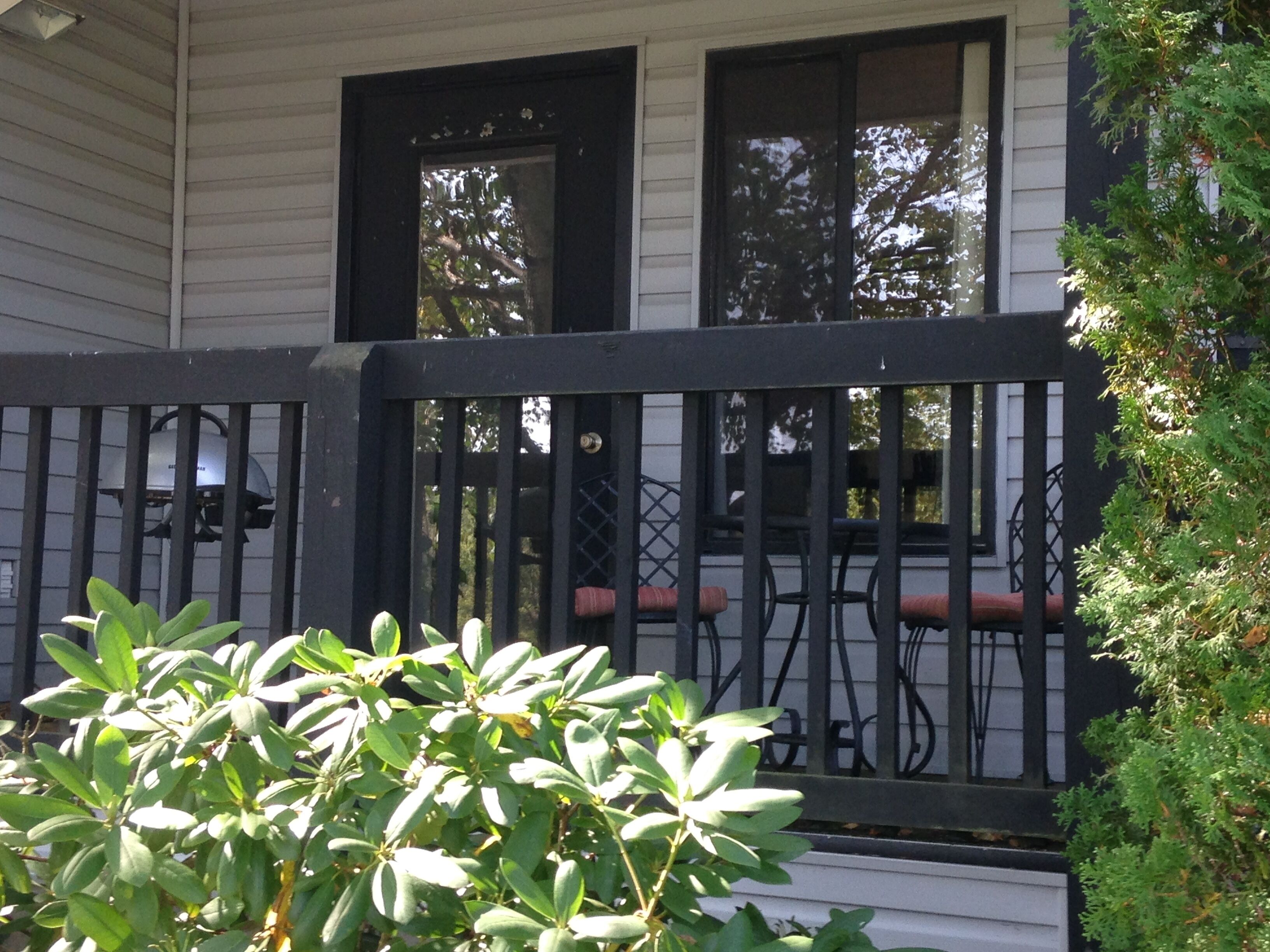 Graefe Bunny Hop Condo at Blue Knob