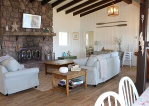 Smart TV, fireplace, DVD player, books