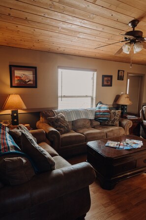 Een televisie, een open haard, videogames en een dvd-speler