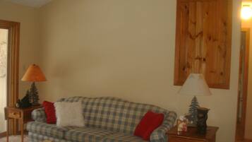 Smart TV, fireplace, DVD player, books